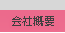 ЊTv